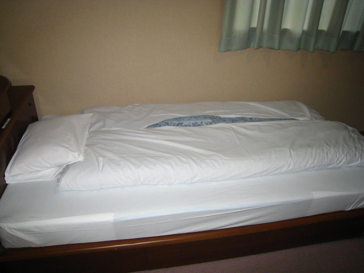 שיזוקה Business Hotel Ojiro חדר תמונה